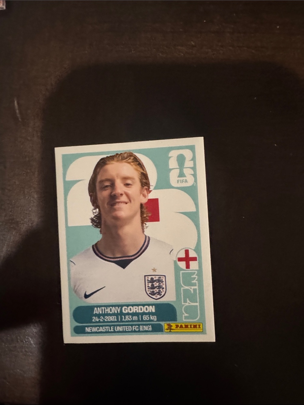 Panini WC 2026 Sticker - Anthony Gordon